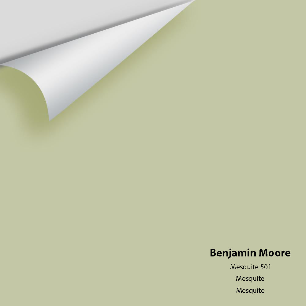Digital color swatch of Benjamin Moore's Mesquite 501 Peel &amp; Stick Sample available at Anderson Paint in Michigan.
