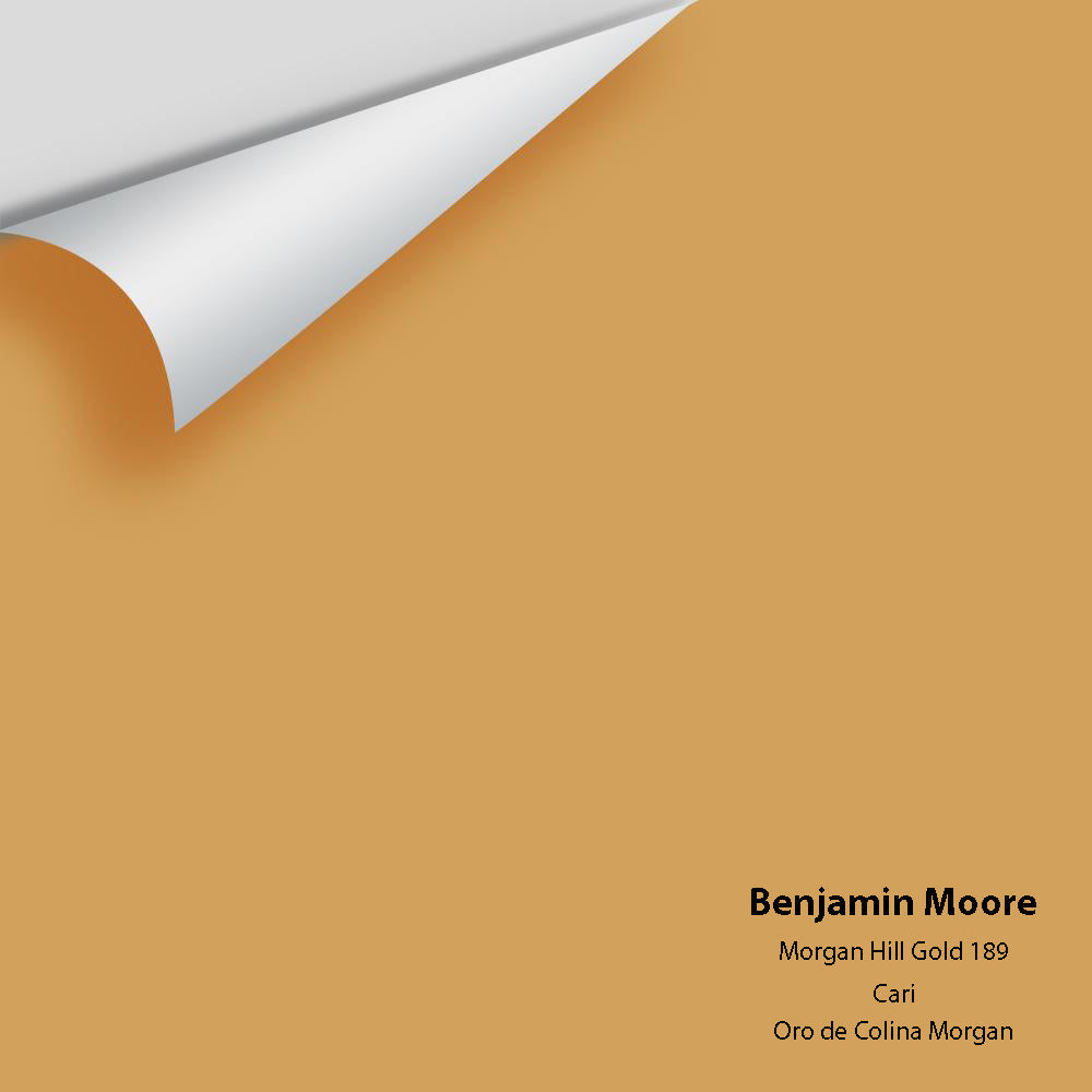 Digital color swatch of Benjamin Moore's Morgan Hill Gold 189 Peel &amp; Stick Sample available at Anderson Paint in Michigan.
