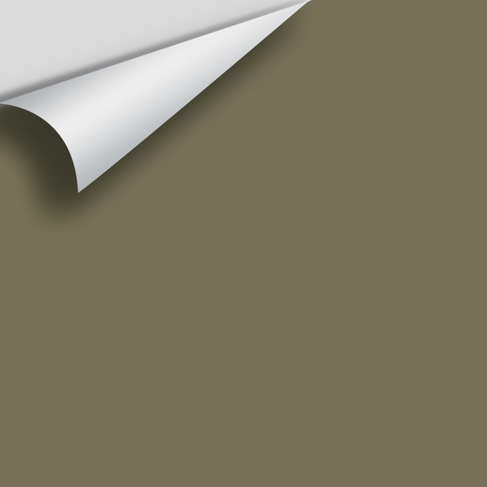 Digital color swatch of Benjamin Moore&#39;s Mountain Moss 2142-30 Peel &amp; Stick Sample available at Anderson Paint in Michigan.