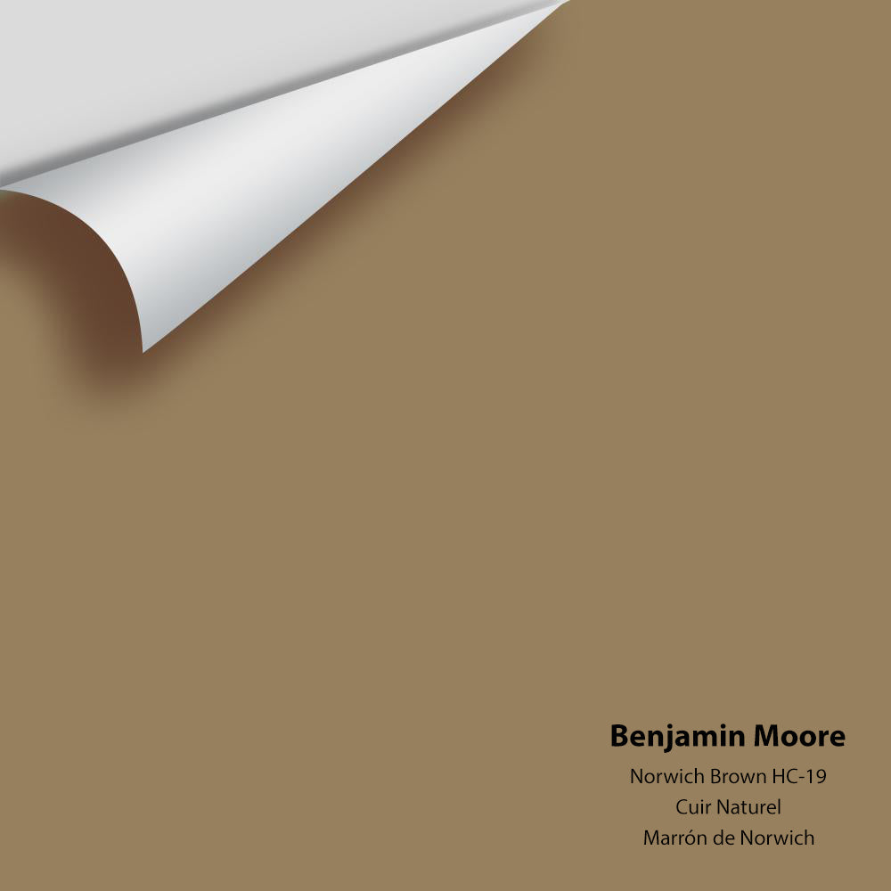 Digital color swatch of Benjamin Moore&#39;s Norwich Brown HC-19 Peel &amp; Stick Sample available at Anderson Paint in Michigan.