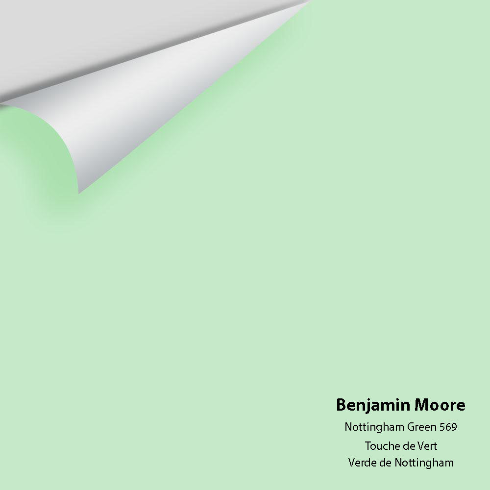 Digital color swatch of Benjamin Moore's Nottingham Green 569 Peel &amp; Stick Sample available at Anderson Paint in Michigan.