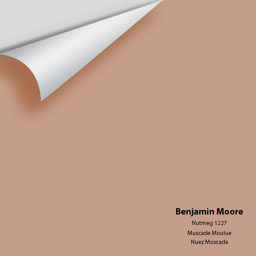 Digital color swatch of Benjamin Moore&#39;s Nutmeg 1227 Peel &amp; Stick Sample available at Anderson Paint in Michigan.