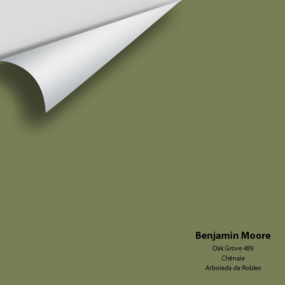 Digital color swatch of Benjamin Moore's Oak Grove 489 Peel &amp; Stick Sample available at Anderson Paint in Michigan.