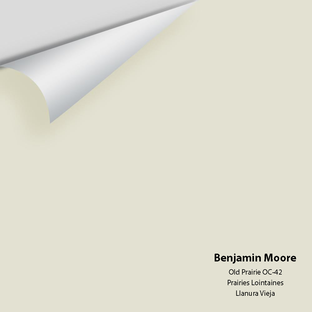 Digital color swatch of Benjamin Moore&#39;s Old Prairie OC-42 Peel &amp; Stick Sample available at Anderson Paint in Michigan.