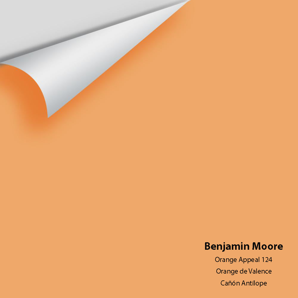 Digital color swatch of Benjamin Moore&#39;s Orange Appeal 124 Peel &amp; Stick Sample available at Anderson Paint in Michigan.