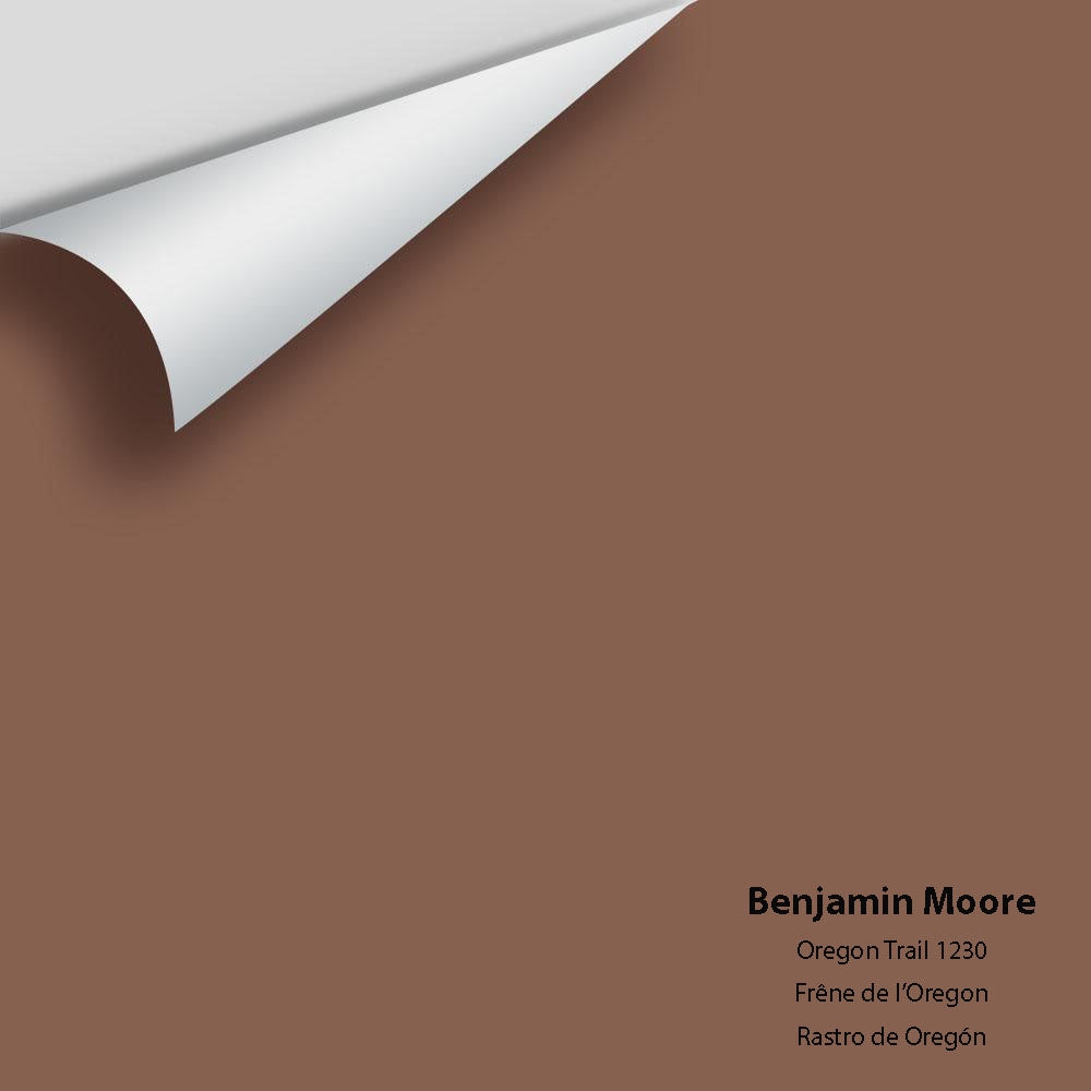 Digital color swatch of Benjamin Moore&#39;s Oregon Trail 1230 Peel &amp; Stick Sample available at Anderson Paint in Michigan.