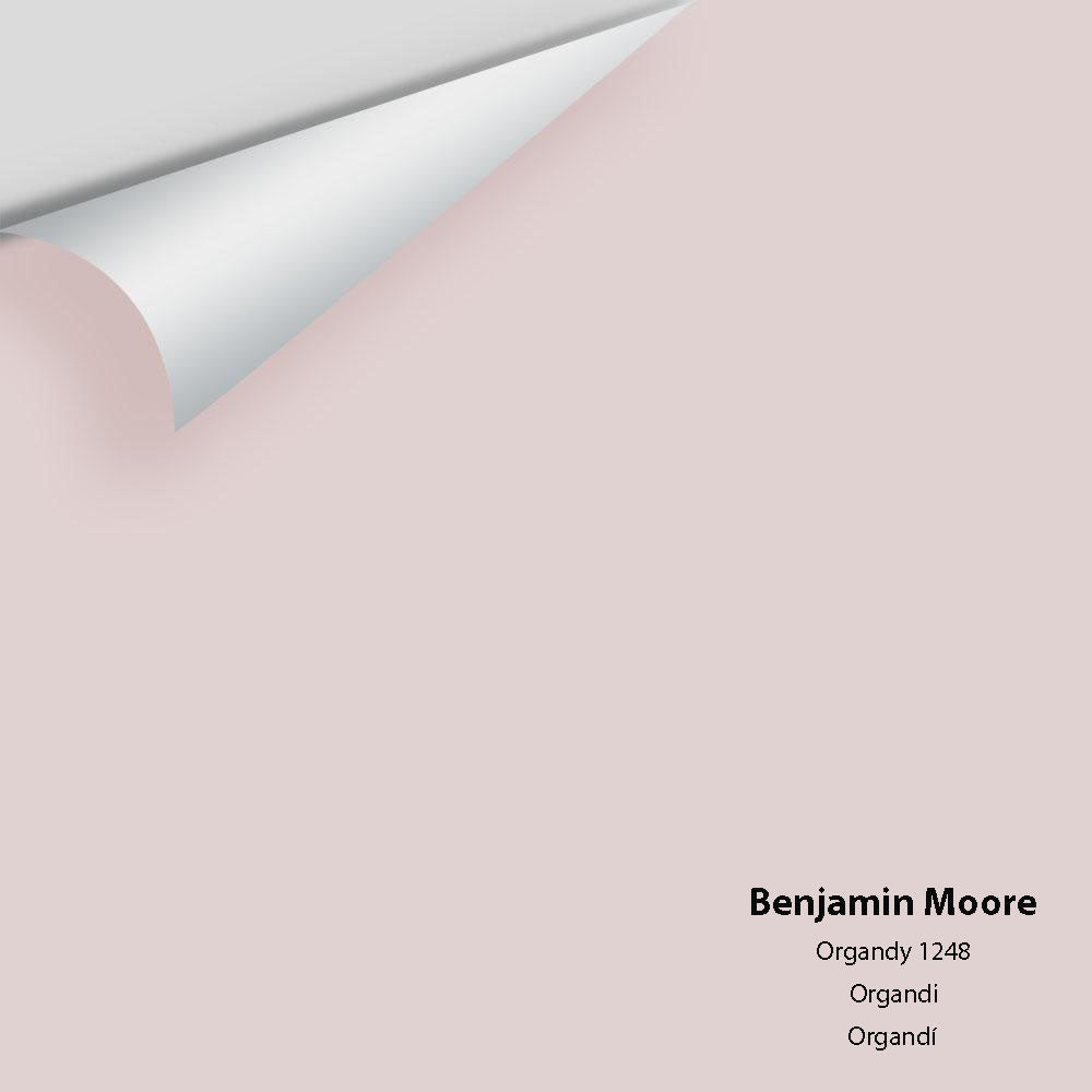 Digital color swatch of Benjamin Moore&#39;s Organdy 1248 Peel &amp; Stick Sample available at Anderson Paint in Michigan.