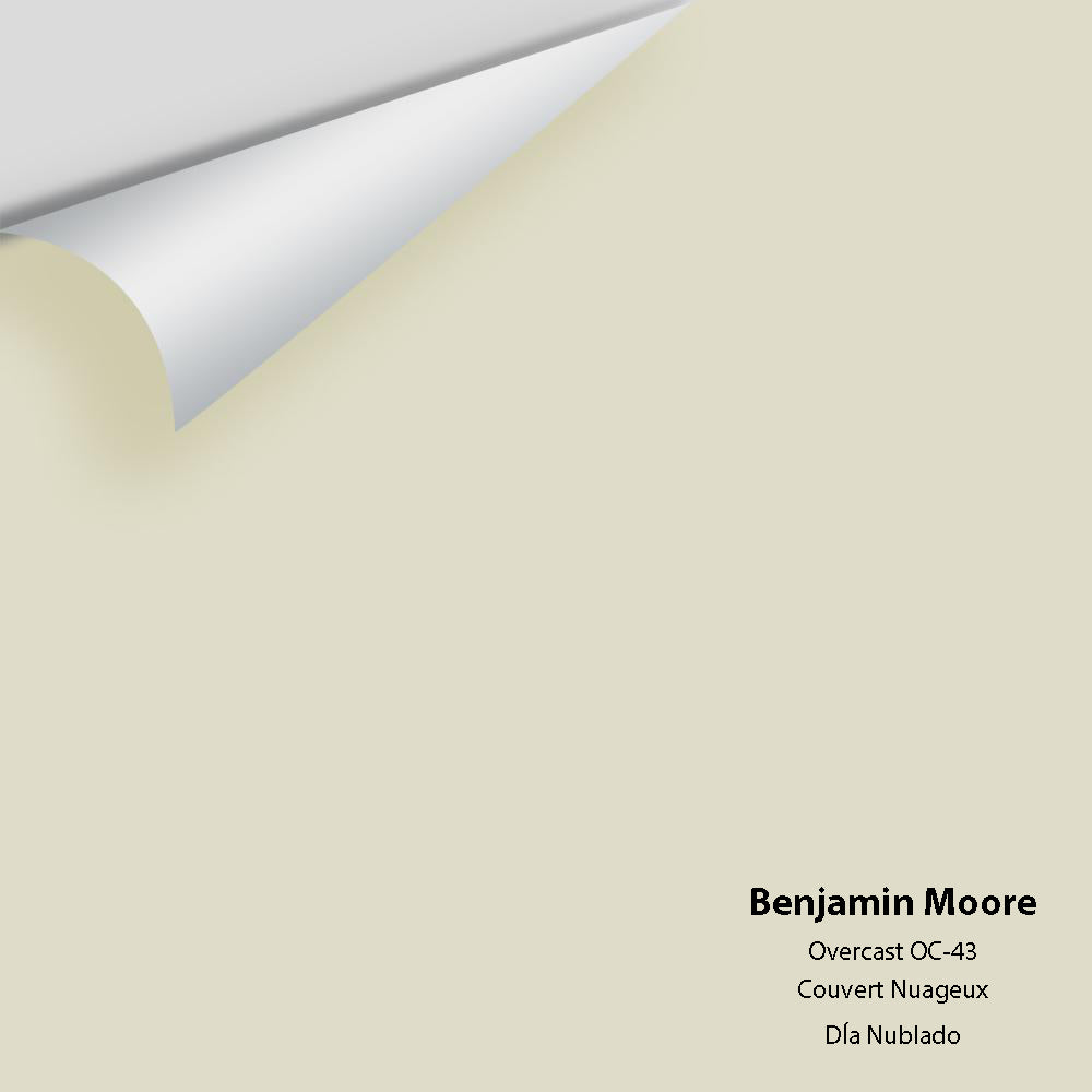 Digital color swatch of Benjamin Moore&#39;s Overcast OC-43 Peel &amp; Stick Sample available at Anderson Paint in Michigan.