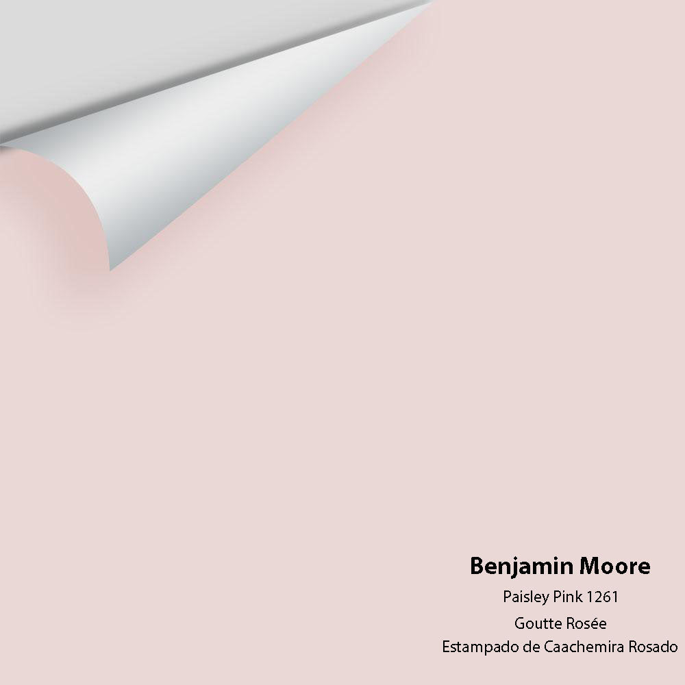 Digital color swatch of Benjamin Moore&#39;s Paisley Pink 1261 Peel &amp; Stick Sample available at Anderson Paint in Michigan.
