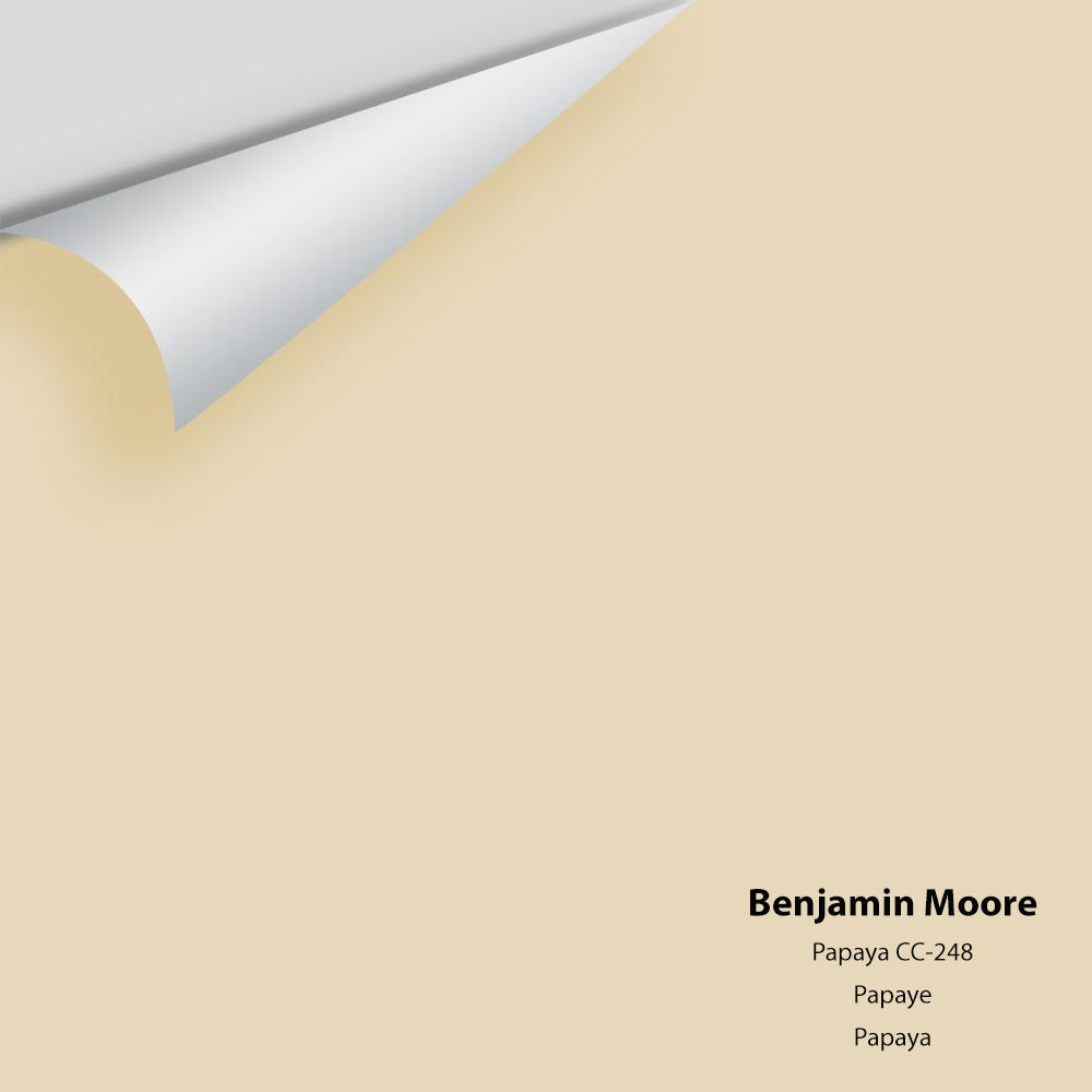 Digital color swatch of Benjamin Moore&#39;s Papaya CC-248 Peel &amp; Stick Sample available at Anderson Paint in Michigan.