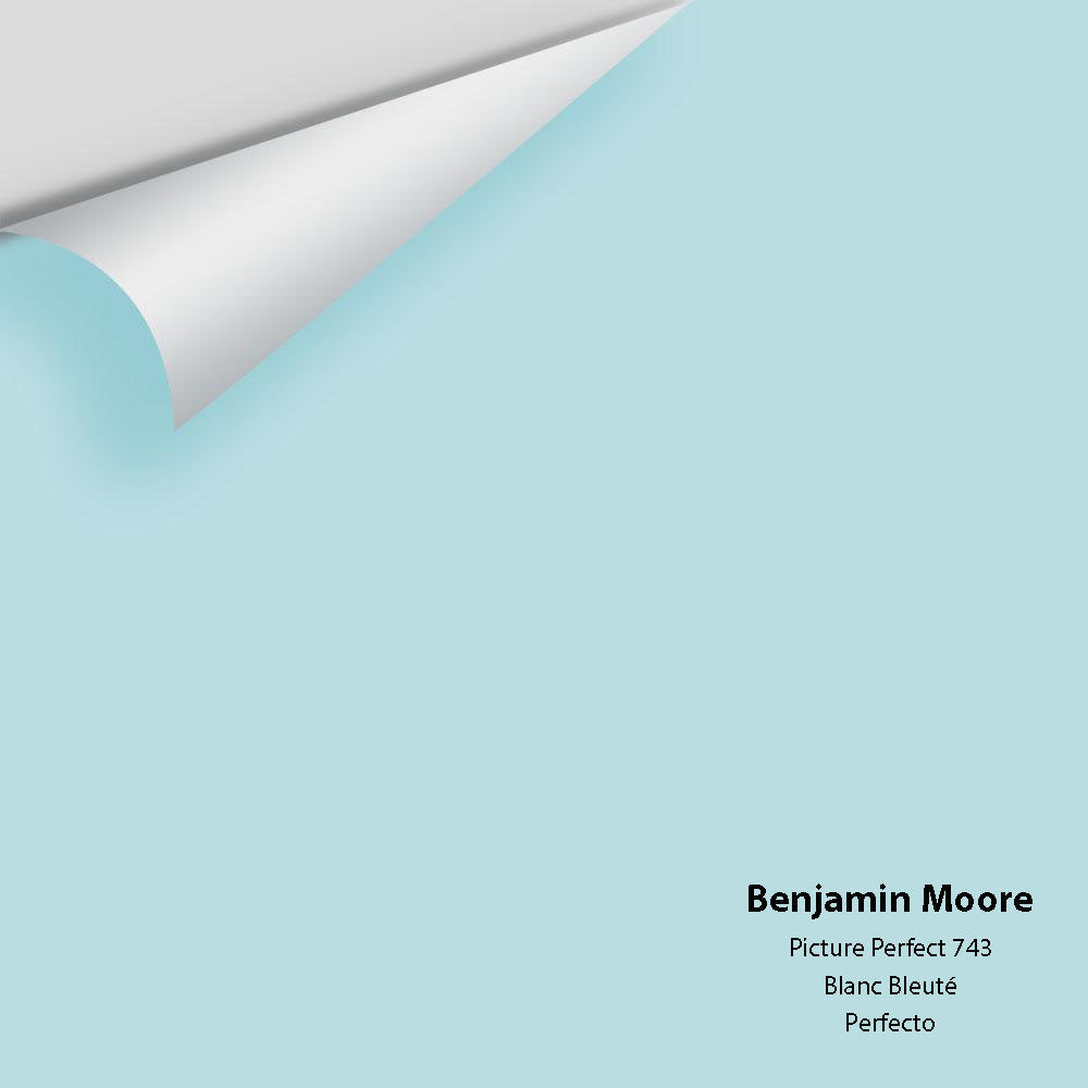 Digital color swatch of Benjamin Moore's Picture Perfect 743 Peel &amp; Stick Sample available at Anderson Paint in Michigan.