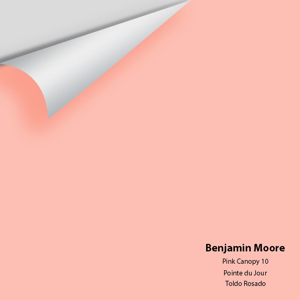 Digital color swatch of Benjamin Moore&#39;s Pink Canopy 10 Peel &amp; Stick Sample available at Anderson Paint in Michigan.