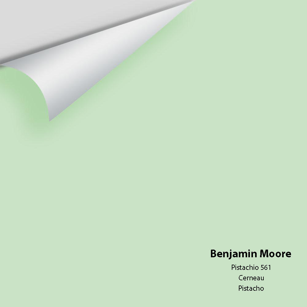 Digital color swatch of Benjamin Moore&#39;s Pistachio 561 Peel &amp; Stick Sample available at Anderson Paint in Michigan.