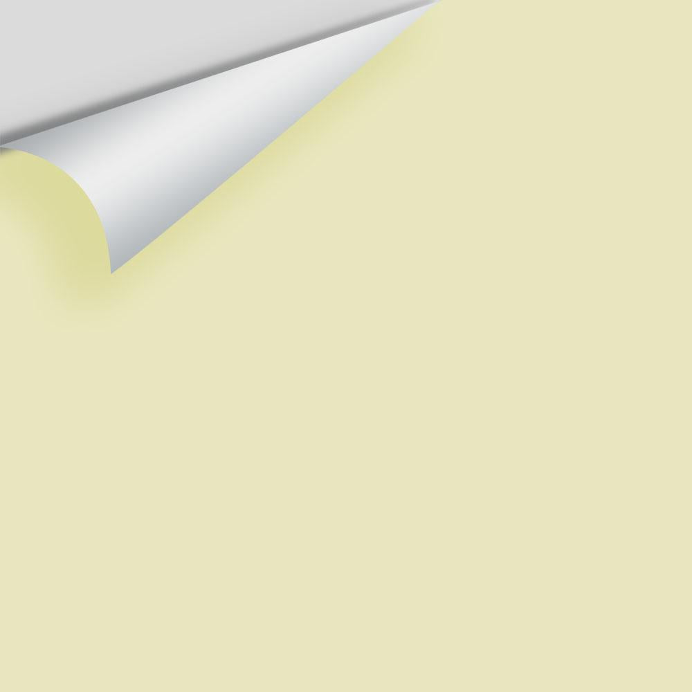 Digital color swatch of Benjamin Moore&#39;s Rainforest Dew 2146-50 Peel &amp; Stick Sample available at Anderson Paint in Michigan.