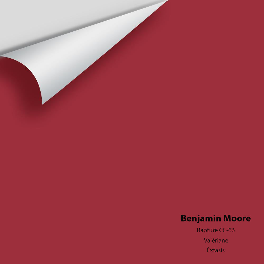 Digital color swatch of Benjamin Moore&#39;s Rapture CC-66 Peel &amp; Stick Sample available at Anderson Paint in Michigan.