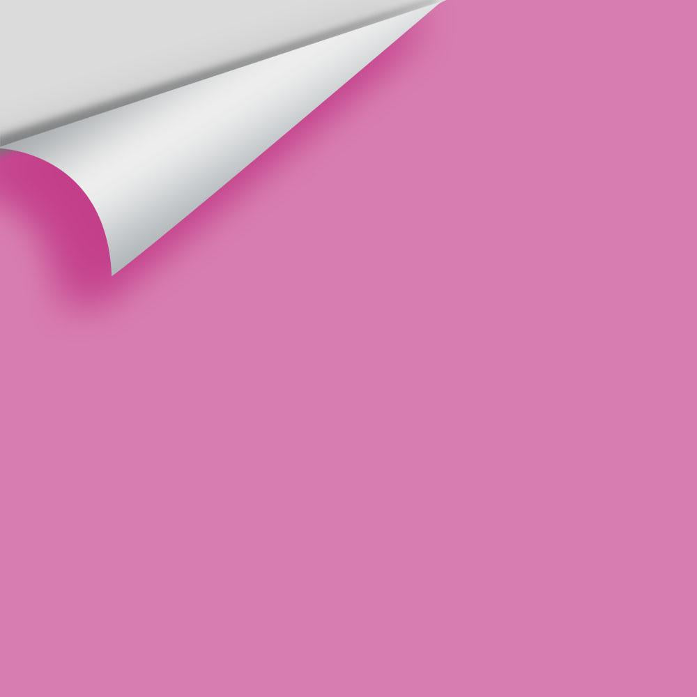 Digital color swatch of Benjamin Moore&#39;s Raspberry Mousse 2076-40 Peel &amp; Stick Sample available at Anderson Paint in Michigan.