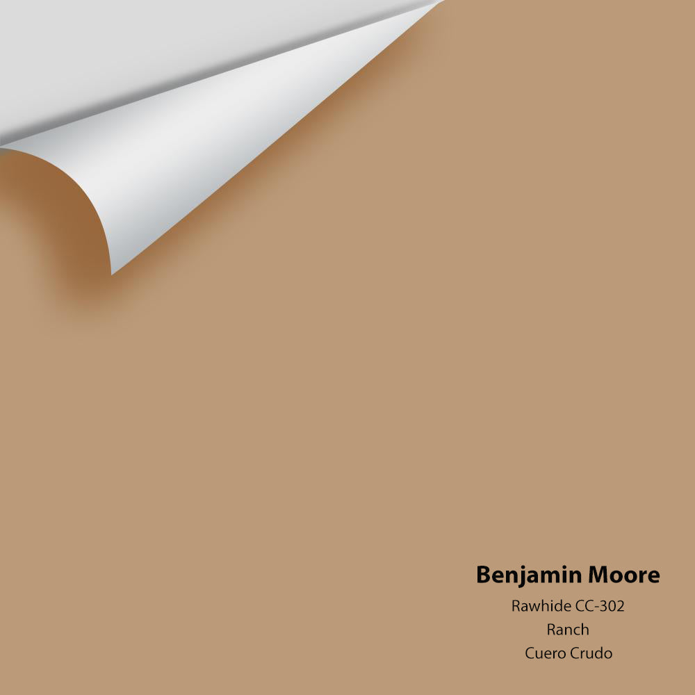 Digital color swatch of Benjamin Moore&#39;s Rawhide CC-302 Peel &amp; Stick Sample available at Anderson Paint in Michigan.