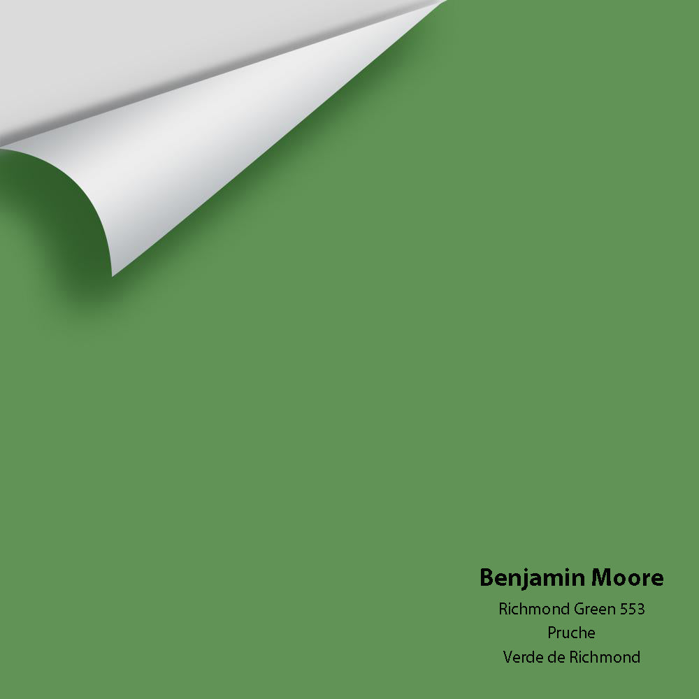 Digital color swatch of Benjamin Moore&#39;s Richmond Green 553 Peel &amp; Stick Sample available at Anderson Paint in Michigan.