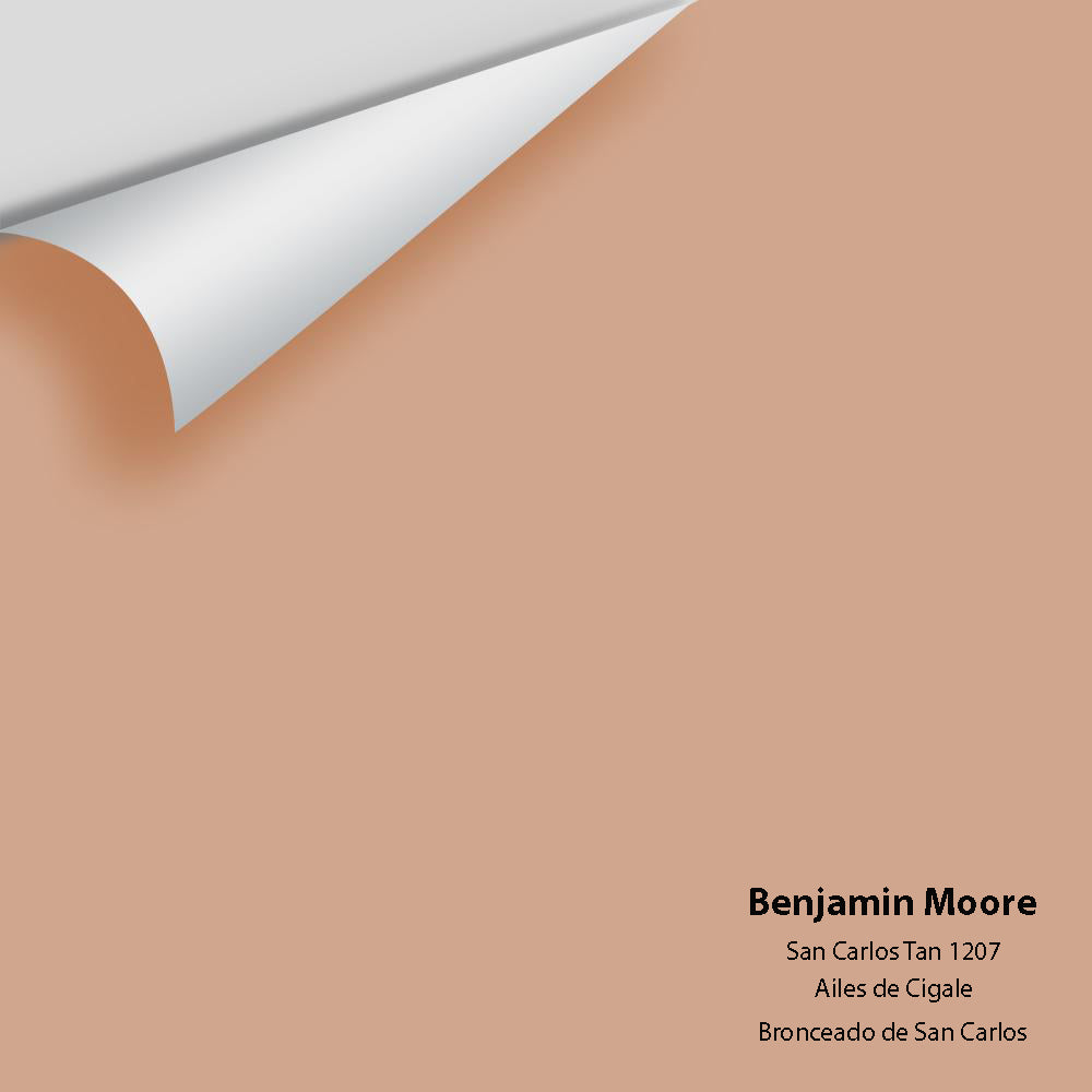 Digital color swatch of Benjamin Moore&#39;s San Carlos Tan 1207 Peel &amp; Stick Sample available at Anderson Paint in Michigan.