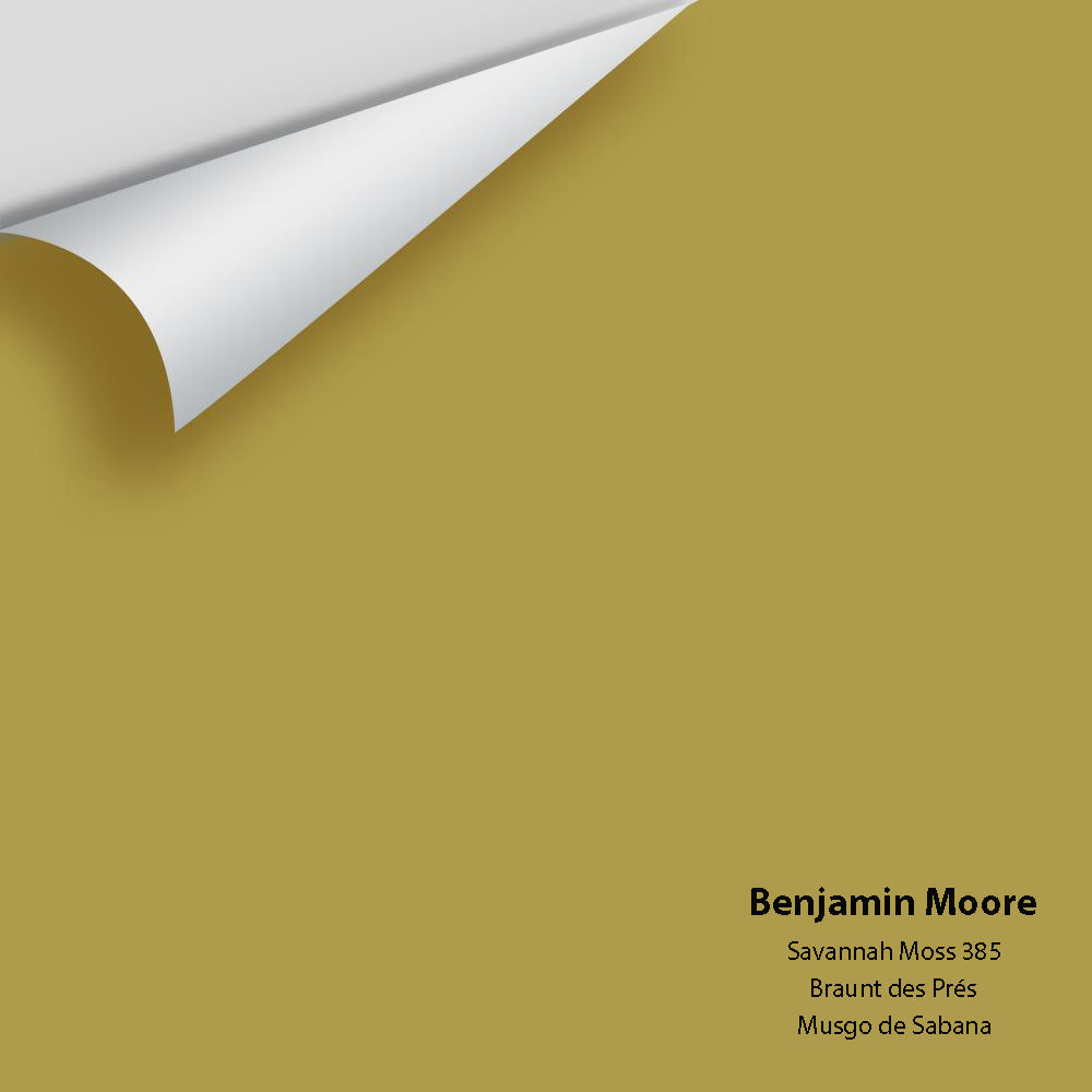 Digital color swatch of Benjamin Moore&#39;s Savannah Moss 385 Peel &amp; Stick Sample available at Anderson Paint in Michigan.