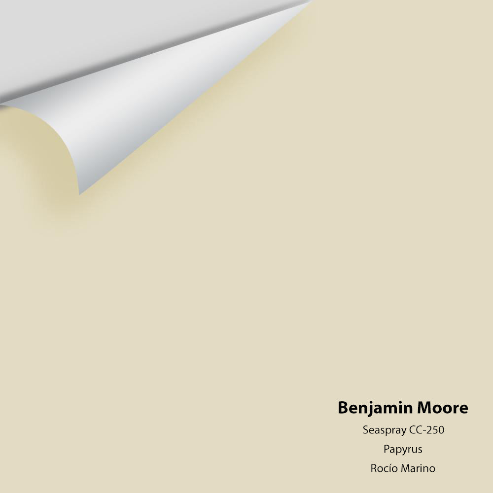 Digital color swatch of Benjamin Moore&#39;s Seaspray CC-250 Peel &amp; Stick Sample available at Anderson Paint in Michigan.