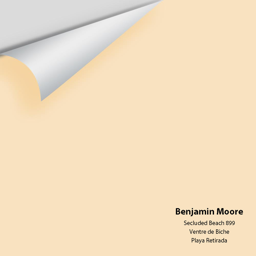 Digital color swatch of Benjamin Moore&#39;s Secluded Beach 899 Peel &amp; Stick Sample available at Anderson Paint in Michigan.