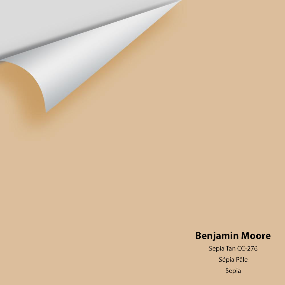 Digital color swatch of Benjamin Moore&#39;s Sepia Tan 1116 Peel &amp; Stick Sample available at Anderson Paint in Michigan.