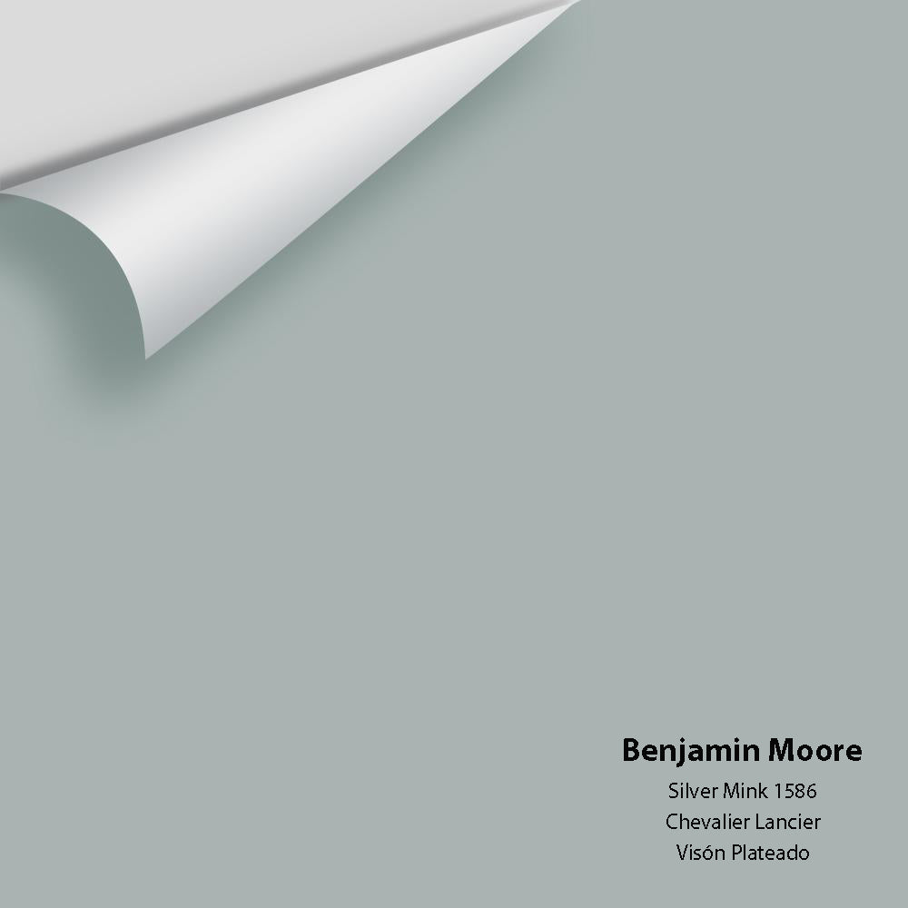 Digital color swatch of Benjamin Moore&#39;s Silver Mink 1586 Peel &amp; Stick Sample available at Anderson Paint in Michigan.