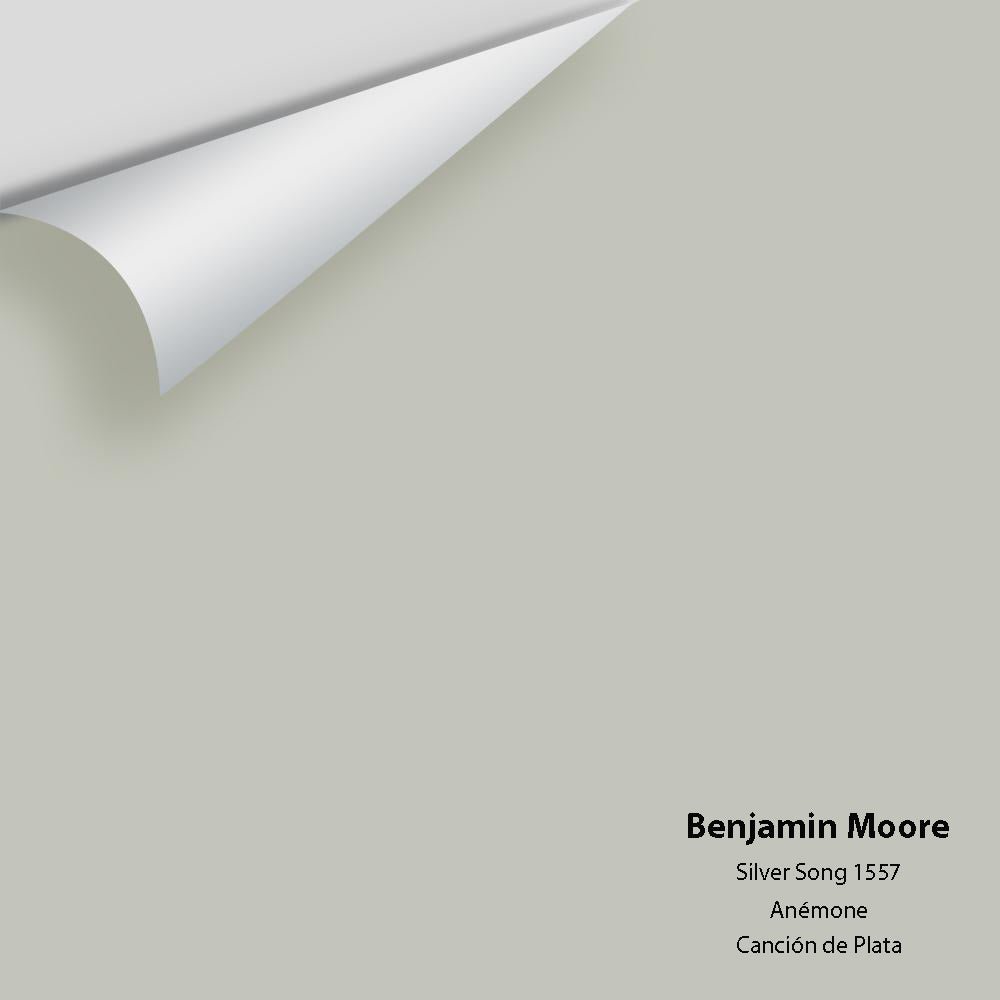 Digital color swatch of Benjamin Moore&#39;s Silver Song 1557 Peel &amp; Stick Sample available at Anderson Paint in Michigan.
