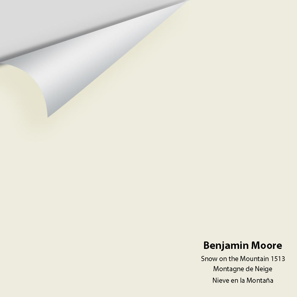 Digital color swatch of Benjamin Moore&#39;s Snow on the Mountain 1513 Peel &amp; Stick Sample available at Anderson Paint in Michigan.