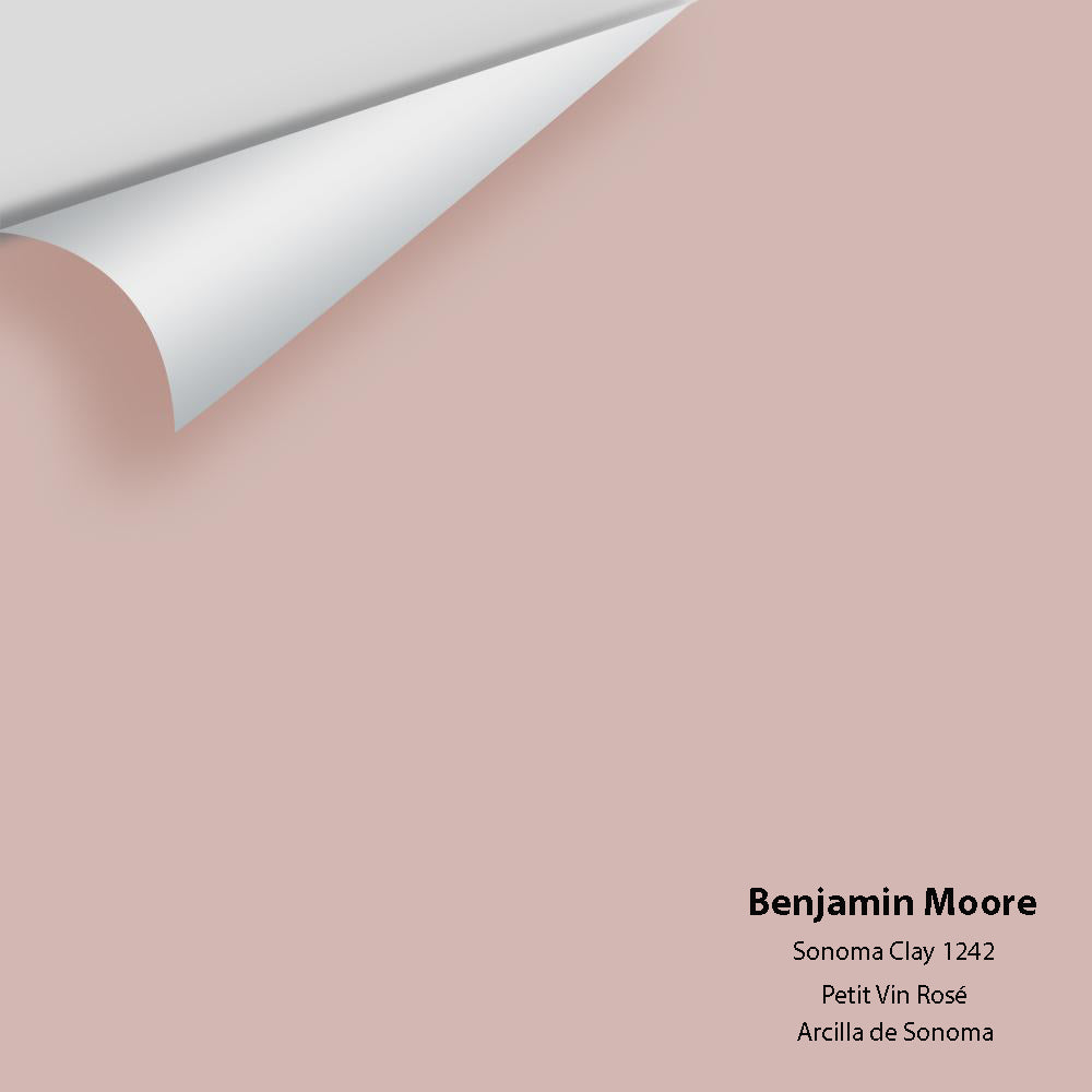 Digital color swatch of Benjamin Moore&#39;s Sonoma Clay 1242 Peel &amp; Stick Sample available at Anderson Paint in Michigan.
