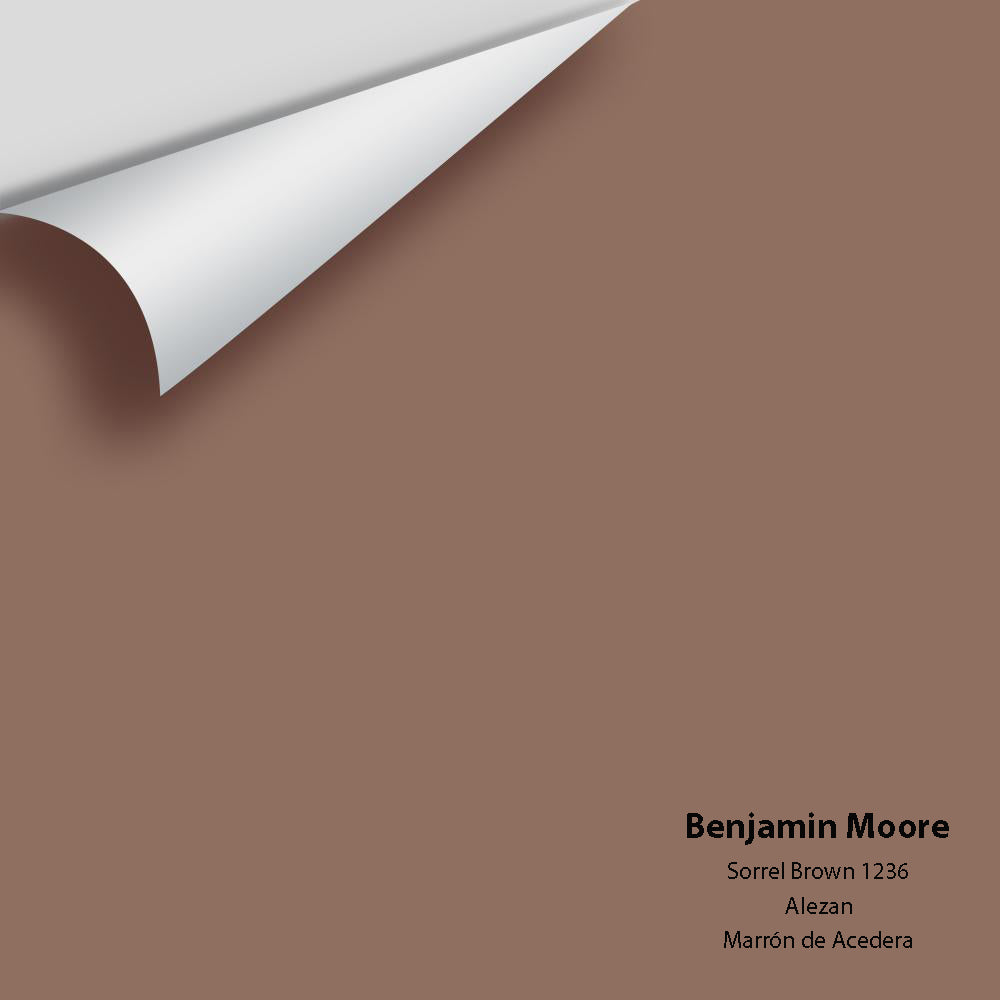 Digital color swatch of Benjamin Moore&#39;s Sorrel Brown 1236 Peel &amp; Stick Sample available at Anderson Paint in Michigan.