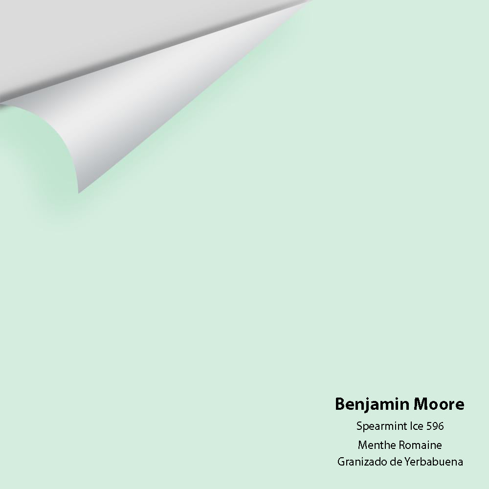 Digital color swatch of Benjamin Moore&#39;s Spearmint Ice 596 Peel &amp; Stick Sample available at Anderson Paint in Michigan.