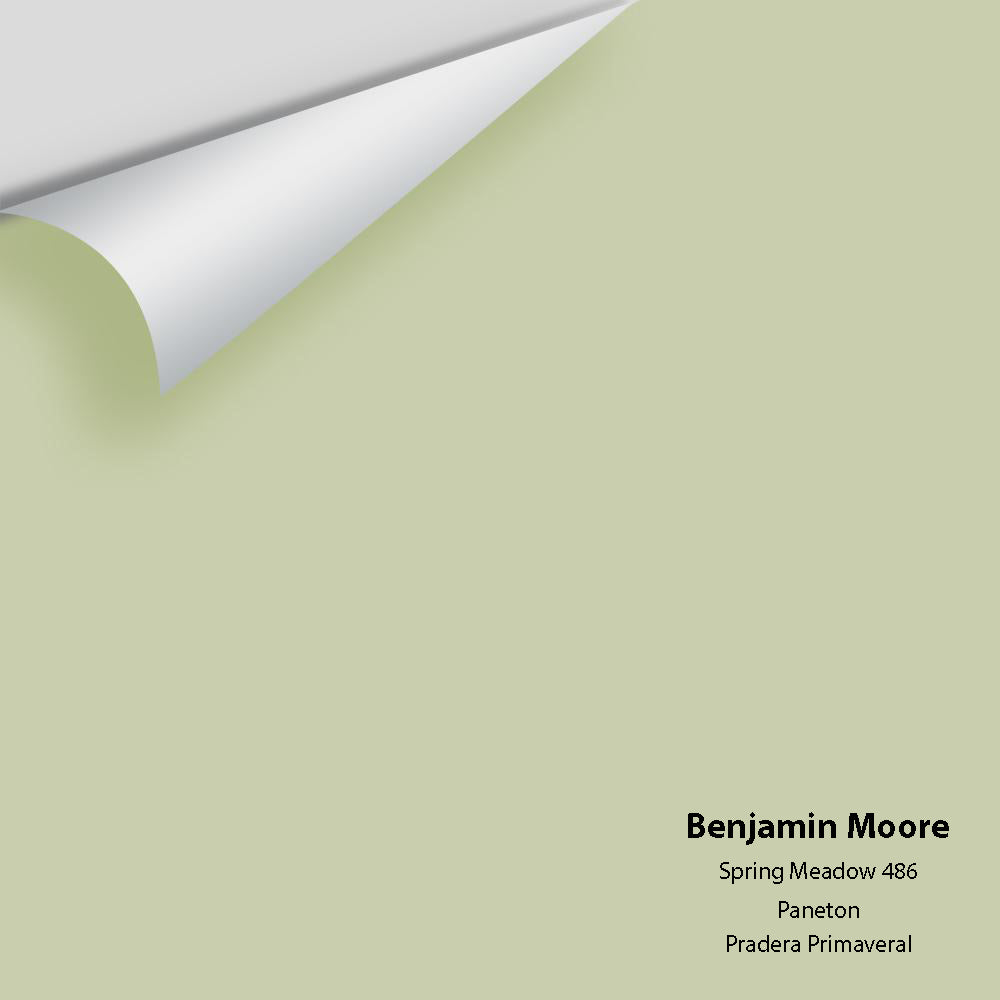 Digital color swatch of Benjamin Moore&#39;s Spring Meadow 486 Peel &amp; Stick Sample available at Anderson Paint in Michigan.