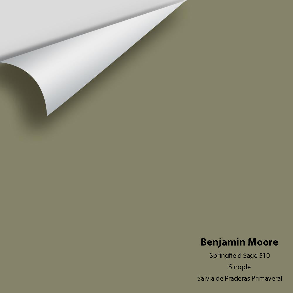 Digital color swatch of Benjamin Moore's Springfield Sage 510 Peel &amp; Stick Sample available at Anderson Paint in Michigan.