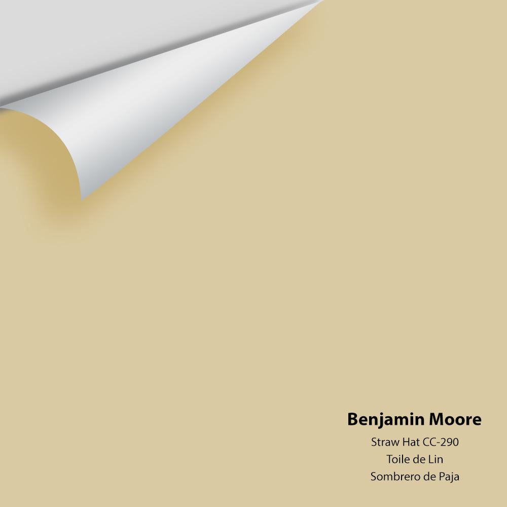 Digital color swatch of Benjamin Moore's Straw Hat 270 Peel &amp; Stick Sample available at Anderson Paint in Michigan.