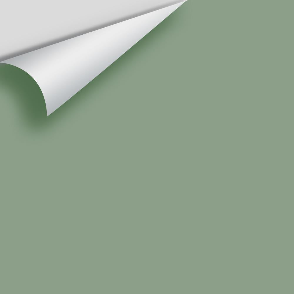 Digital color swatch of Benjamin Moore&#39;s Summer&#39;s Day CSP-780 Peel &amp; Stick Sample available at Anderson Paint in Michigan.