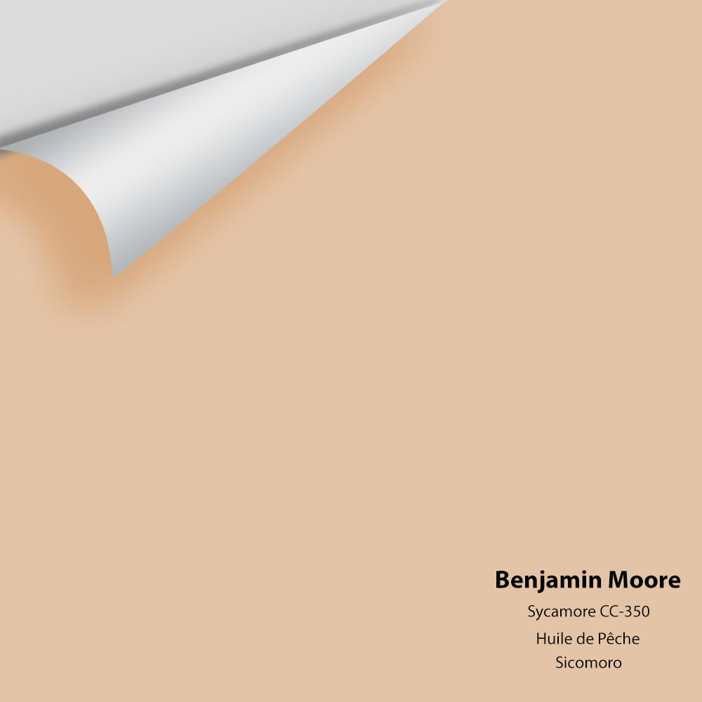 Digital color swatch of Benjamin Moore&#39;s Sycamore 1137 Peel &amp; Stick Sample available at Anderson Paint in Michigan.