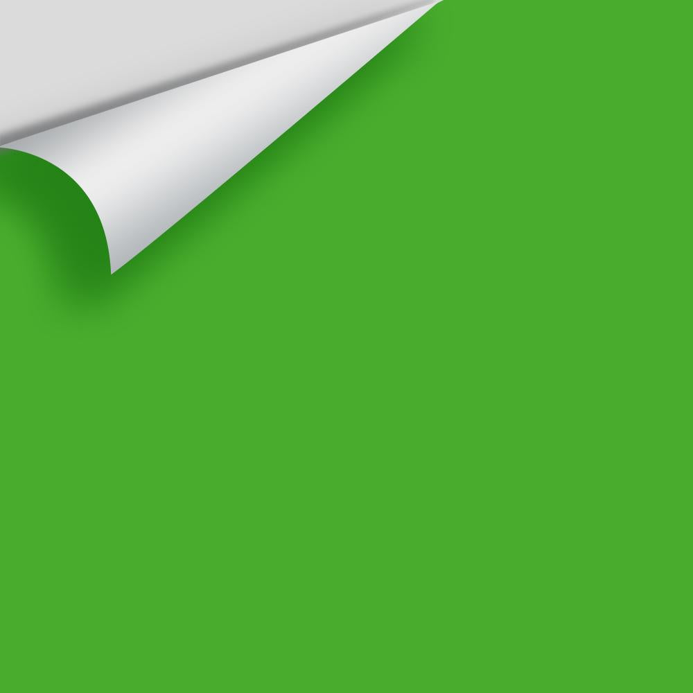 Digital color swatch of Benjamin Moore&#39;s Tropical Seaweed Green 2030-20 Peel &amp; Stick Sample available at Anderson Paint in Michigan.