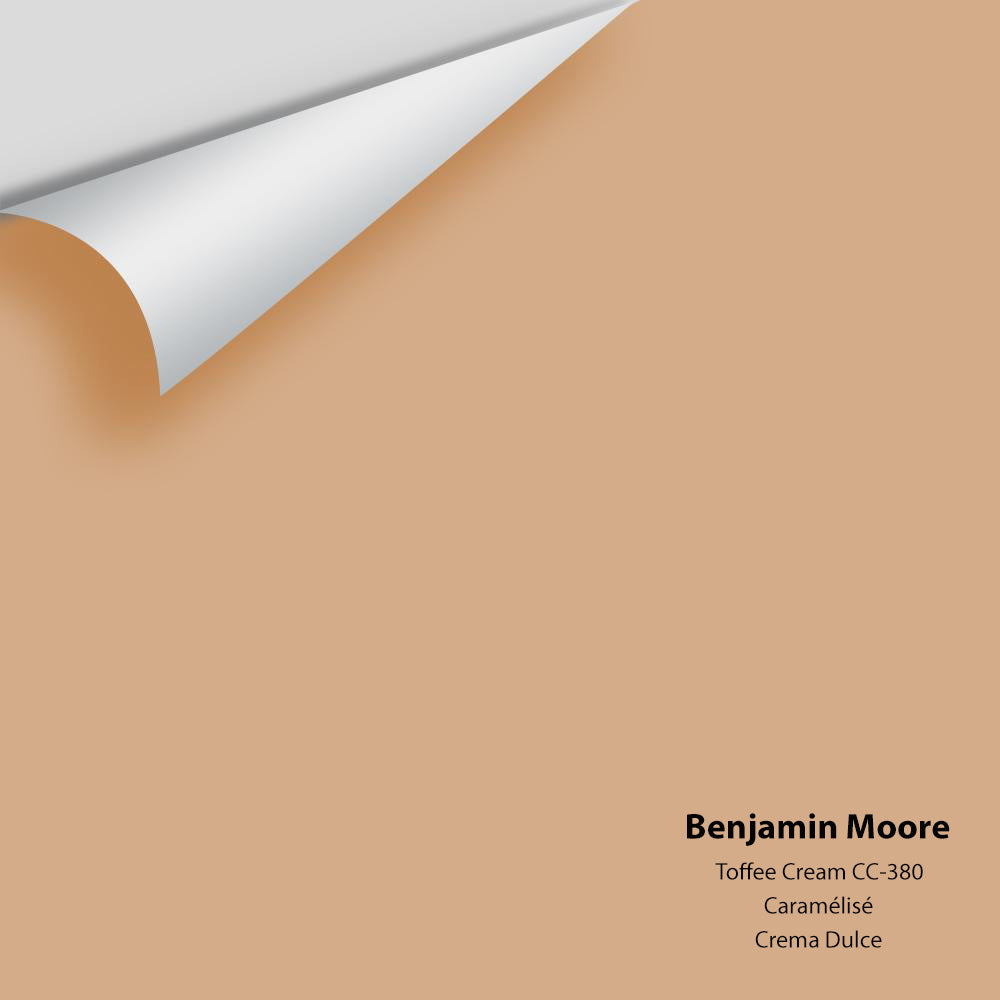 Digital color swatch of Benjamin Moore&#39;s Toffee Cream 1138 Peel &amp; Stick Sample available at Anderson Paint in Michigan.