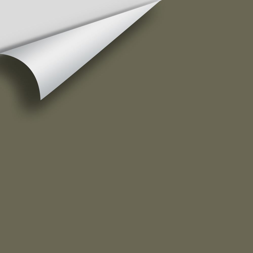 Digital color swatch of Benjamin Moore&#39;s Trailing Vines 1505 Peel &amp; Stick Sample available at Anderson Paint in Michigan.