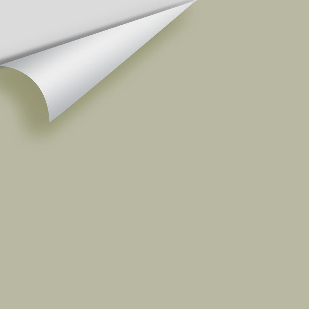 Digital color swatch of Benjamin Moore&#39;s Tree Moss 508 Peel &amp; Stick Sample available at Anderson Paint in Michigan.