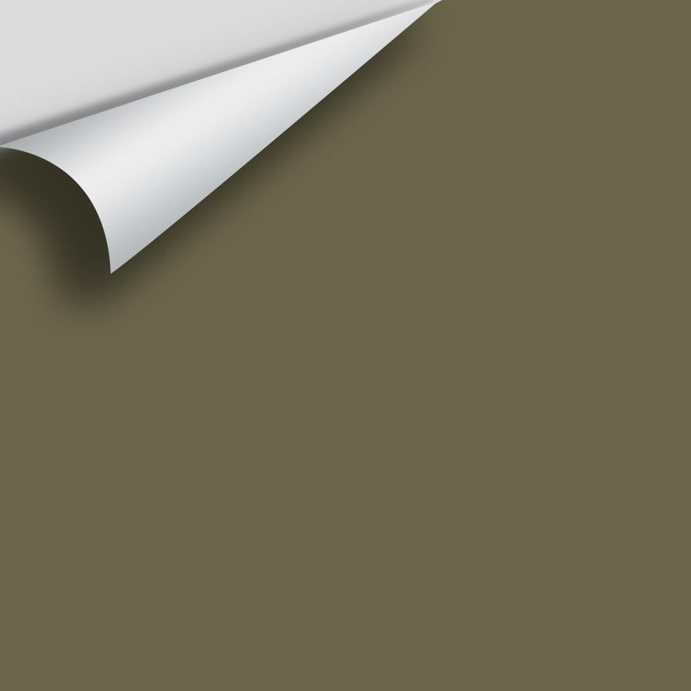 Digital color swatch of Benjamin Moore&#39;s Turtle Green 2142-20 Peel &amp; Stick Sample available at Anderson Paint in Michigan.