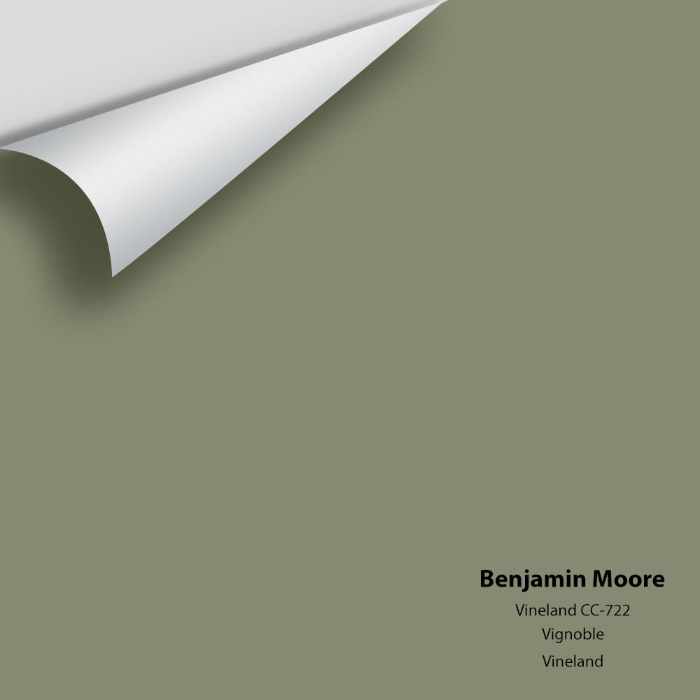 Digital color swatch of Benjamin Moore&#39;s Vineland CC-722 Peel &amp; Stick Sample available at Anderson Paint in Michigan.