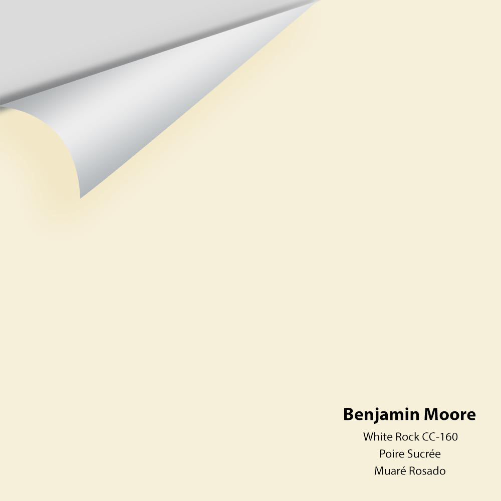 Digital color swatch of Benjamin Moore&#39;s White Rock CC-160 Peel &amp; Stick Sample available at Anderson Paint in Michigan.