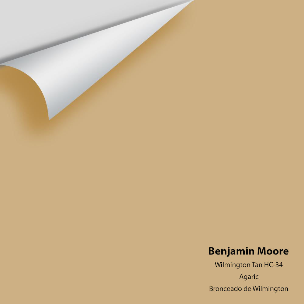 Digital color swatch of Benjamin Moore&#39;s Wilmington Tan HC-34 Peel &amp; Stick Sample available at Anderson Paint in Michigan.