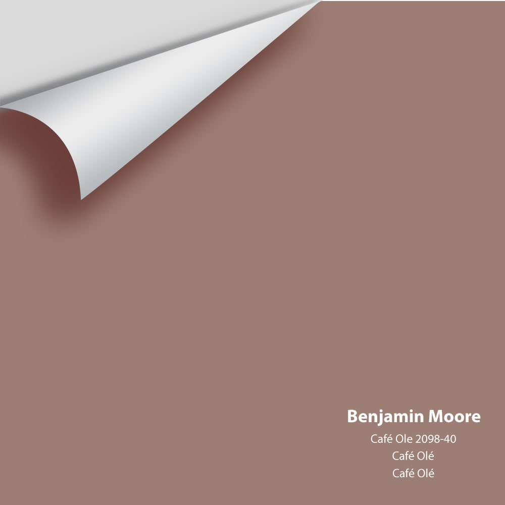 Digital color swatch of Benjamin Moore&#39;s Café Ole 2098-40 Peel &amp; Stick Sample available at Anderson Paint in Michigan.