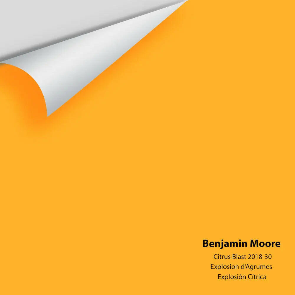 2018-30 Citrus Blast Peel &amp; Stick Paint Sample