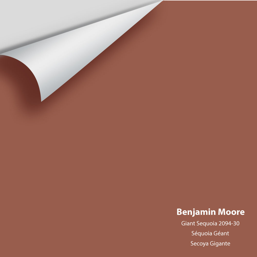 Digital color swatch of Benjamin Moore&#39;s Giant Sequoia 2094-30 Peel &amp; Stick Sample available at Anderson Paint in Michigan.