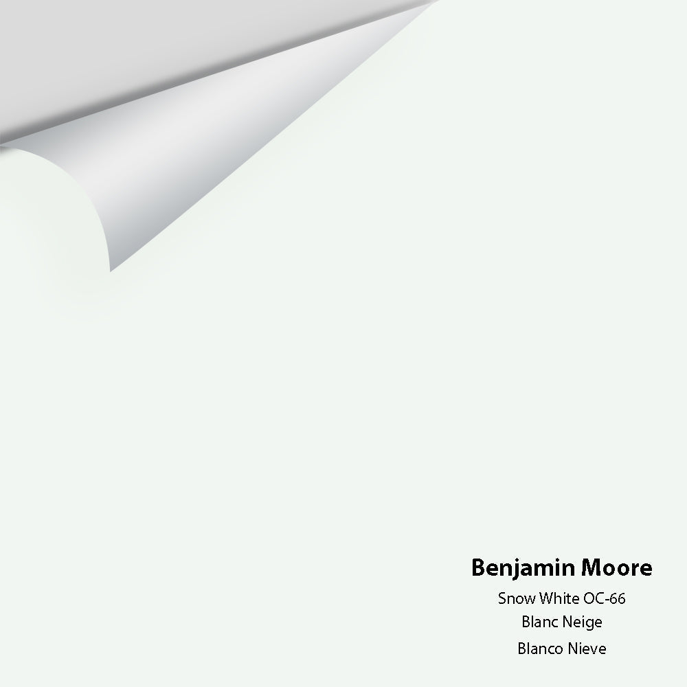 Digital color swatch of Benjamin Moore&#39;s Snow White OC-66 Peel &amp; Stick Sample available at Anderson Paint in Michigan.
